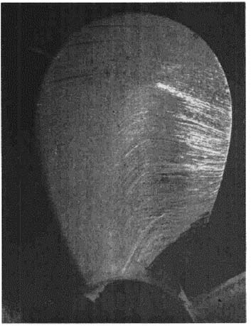 Fig. 15