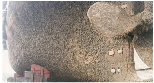 Fig. 20