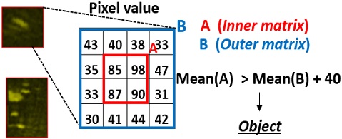 Fig. 4