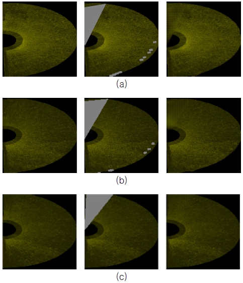 Fig. 9