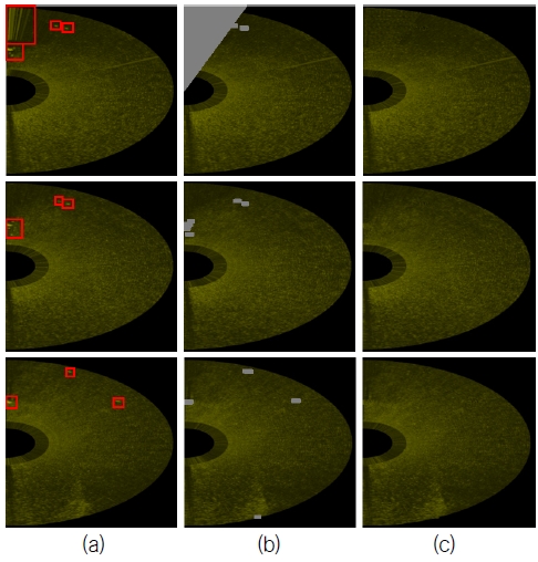 Fig. 11
