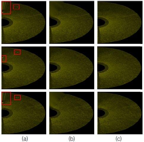 Fig. 12