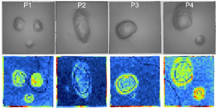 Fig. 12 Fig. 12