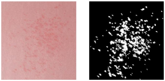Fig. 10