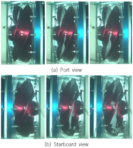 Fig. 9